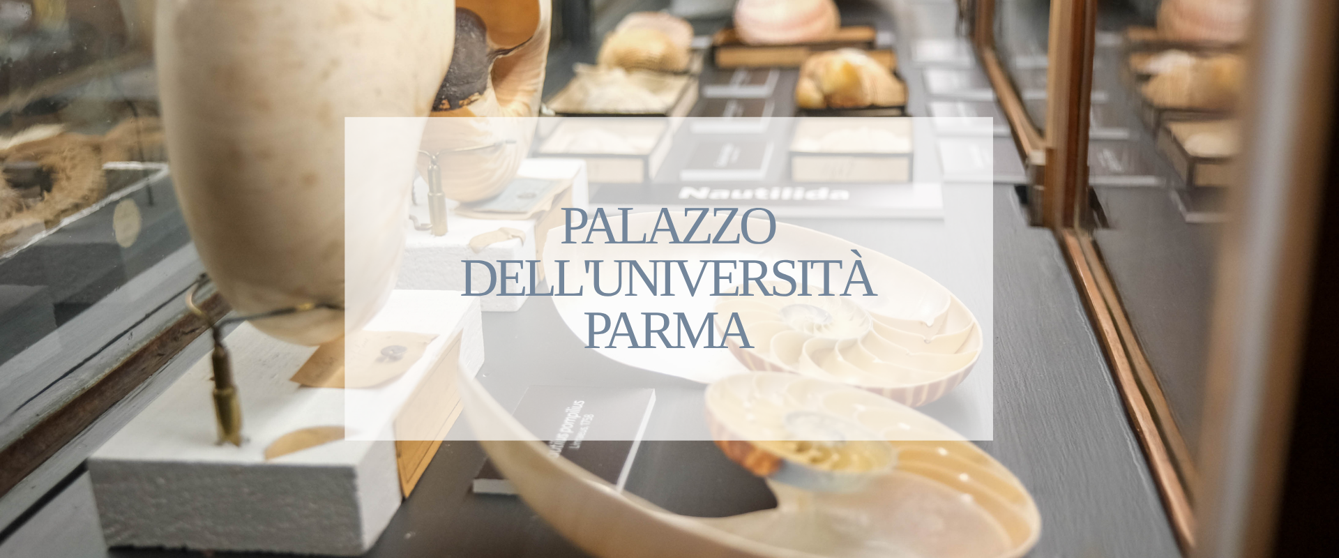 Palazzo dell’università Parma